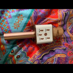 karaoke microphone :)